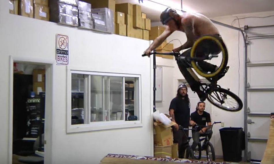 A Tight Spot - The Profile crew visits Animal HQ - Woodfin, The Leepers, and Conway. By Profile Racing