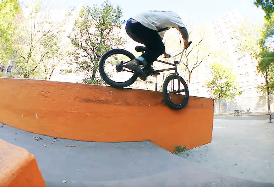 RYAN HOWARD - BORROWED TIME - 2025 Animal Bikes