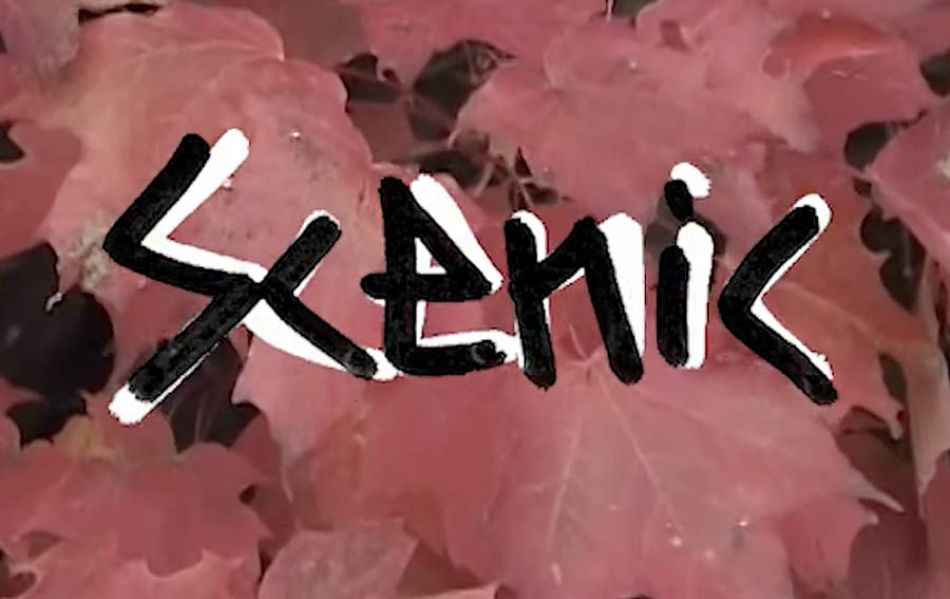 &#039;SCENIC’ feat. Trent Lutzke for DEADBREAD MFG | DIG