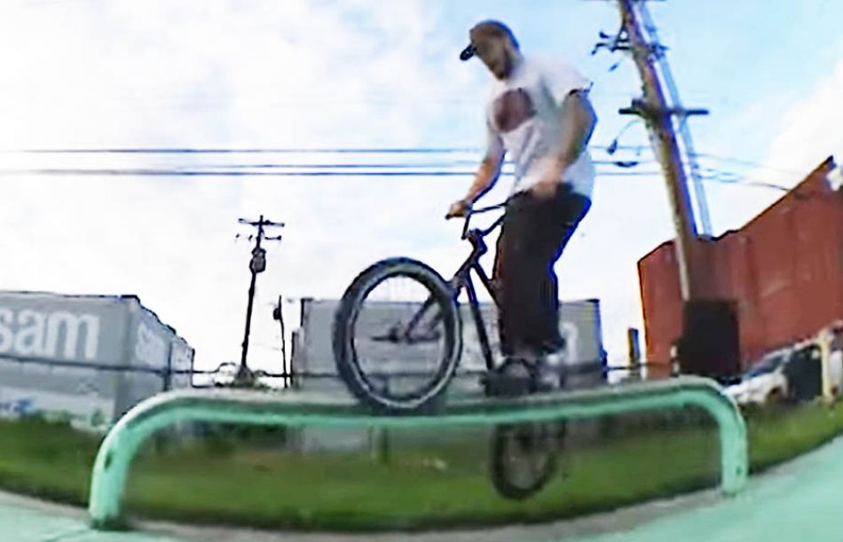 ETHAN GROTHE - For The Birds by Animal Bikes