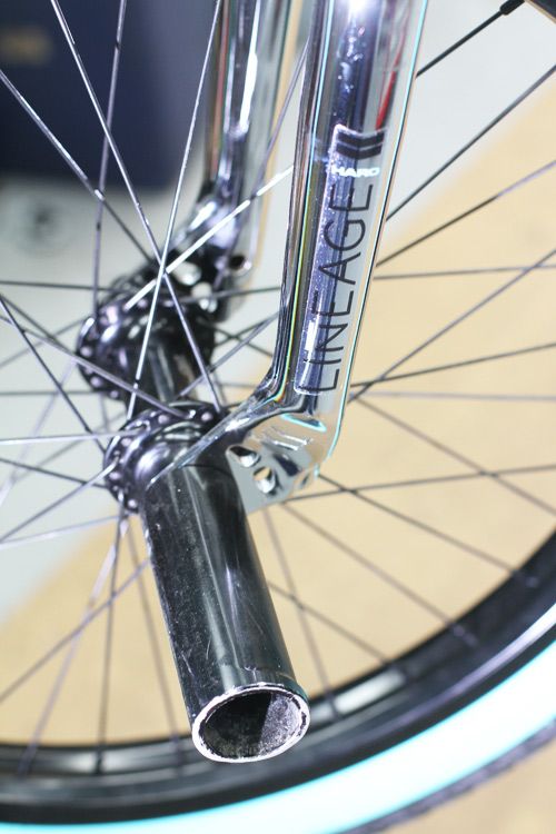 haro lineage forks